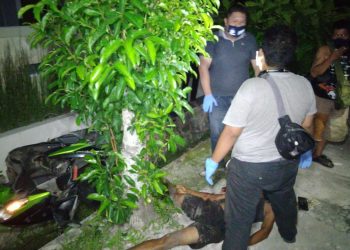 Tabrak Pohon, Seorang Pengendara Roda Dua Tewas