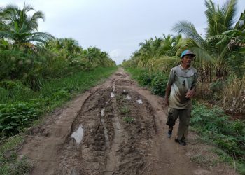 Warga Keluhkan Penimbunan Jalan Pertanian yang Belum Selesai