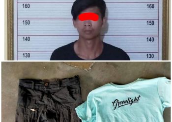 Modus Nangkap Ayam, Seorang Pemuda Coba Perkosa Anak Bawah Umur