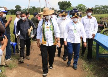 Gubernur Kalteng Dampingi Mentan Tinjau Panen Perdana Padi di Areal Food Estate