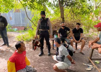 Polisi Gerebek Judi Sabung Ayam, Empat Orang Diamankan