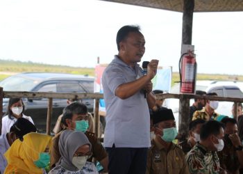 Peternakan Sapi di Sukamara Ranch Jadi Percontohan Nasional