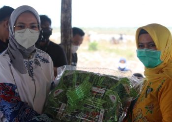 Gubernur dan Ketua PKK Kalteng Salurkan Bansos Beras, Masker dan Bibit Tanaman