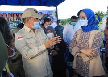 Komisi IV DPR RI Kunjungi Lahan Food Estate
