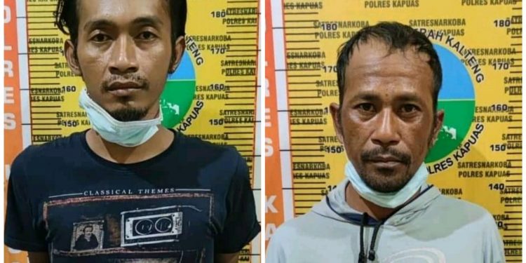 Dua Warga Tamban Catur Ditangkap Polisi Karena Miliki Sabu 3,20 Gram