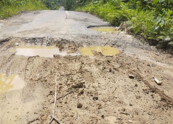 Jalan Rusak Parah, Camat Laung Tuhup Minta Perhatian Pemda  
