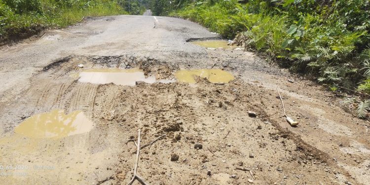 Jalan Rusak Parah, Camat Laung Tuhup Minta Perhatian Pemda  
