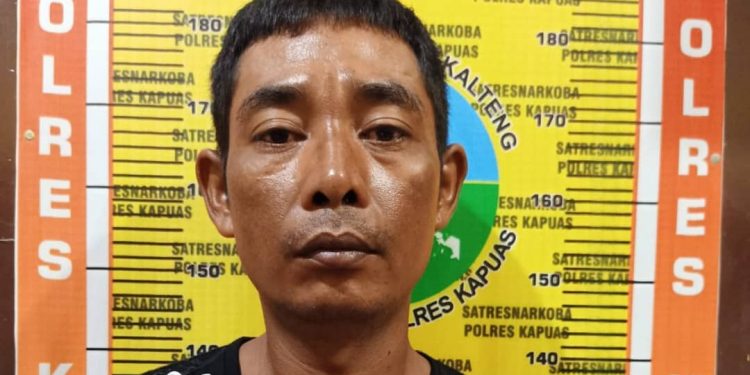 Lagi-lagi Pengedar Sabu Ditangkap Satresnarkoba Polres Kapuas