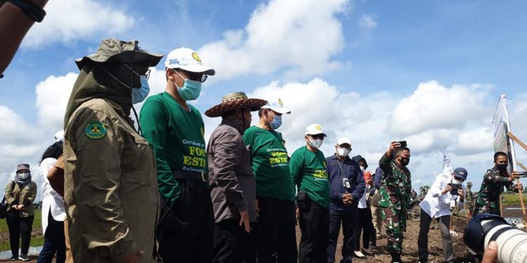 Kalteng Bersama Kementan RI Inisiasi Gerakan Tanam Massal