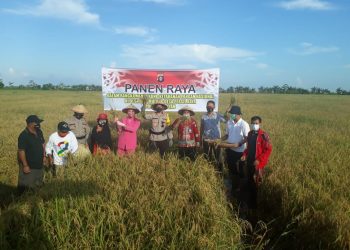 Kapolres Seruyan Lakukan Panen Raya Padi di Desa Binaan