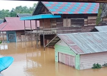 Hujan Lebat, Tiga Kabupaten di Kalteng Dilanda Banjir