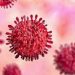 Warga Diminta Waspadai Penyebaran Virus B1617