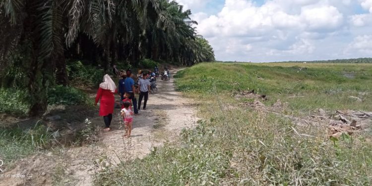 Anang Kurdi Bin Abdullah Kembali Kuasai Tanah Ulayat Leluhur