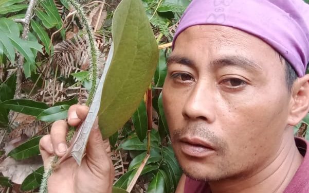 Abdi Anor, S.Pd : Mari Manfaatkan Obat Herbal Dari Alam Kita