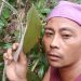 Abdi Anor, S.Pd : Mari Manfaatkan Obat Herbal Dari Alam Kita