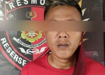 Kabur Ke Palangka Raya Pencuri Sawit Diterkam Macan Kalteng