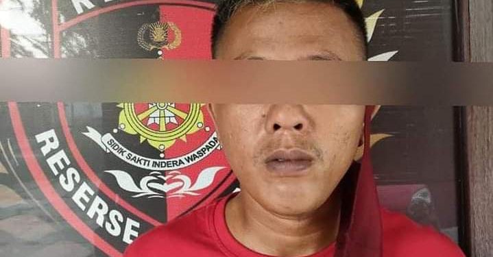 Kabur Ke Palangka Raya Pencuri Sawit Diterkam Macan Kalteng