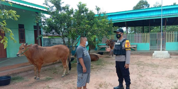 Polsek Danau Sembuluh Himbau Panitia Door To Door Bagikan Daging Kurban