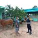 Polsek Danau Sembuluh Himbau Panitia Door To Door Bagikan Daging Kurban