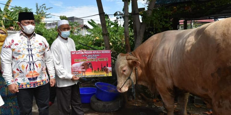 Wagub Edy Pratowo Serahkan Bantuan Sapi Kurban Untuk Kabupaten Kapuas