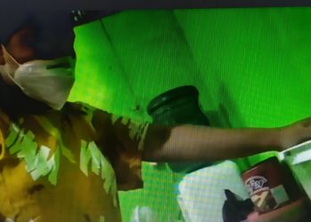 Tekuni Usaha Peyek Daun Bayam dan Daun Kelakai di Masa Pandemi