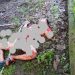 Pedagang Sembako Ditemukan Tewas Bersimbah Darah