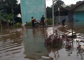 Sejumlah Daerah di Kalteng Diterjang Banjir