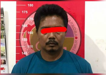 Pengedar Sabu 2,64 Gram Diamankan Polisi di Perkebunan Sawit