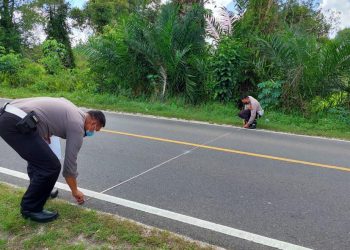 Terlibat Kecelakaan Pengendara Motor Tewas Usai Terlindas Truk