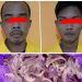 Dua Pencuri Sarang Burung Walet Dibekuk Polisi