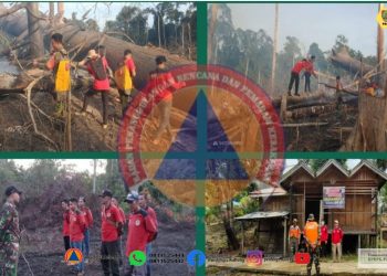 Terpantau Sebanyak 41 Titik Hotspot di Provinsi Kalteng