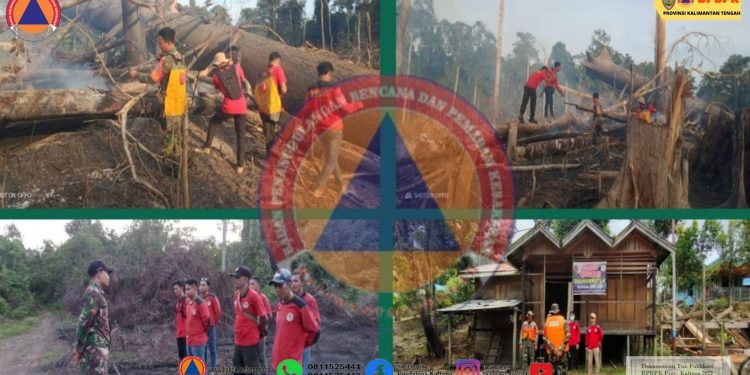 Terpantau Sebanyak 41 Titik Hotspot di Provinsi Kalteng