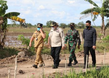 Gubernur Kalteng Optimis Program Food Estate Akan Berhasil
