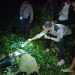 Wanita Berjilbab Tewas Bersimbah Darah di Kebun Sawit