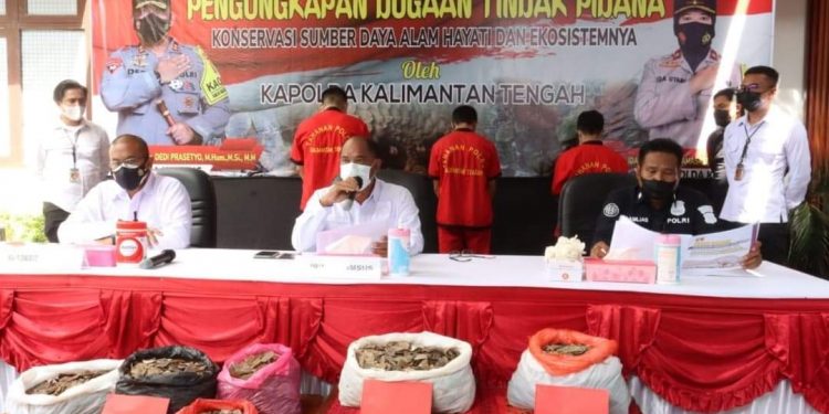 Polda Kalteng Amankan 22,64 Kg Sisik Trenggiling