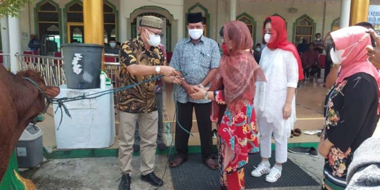 Barsel Terima Bantuan 24 Sapi Qurban