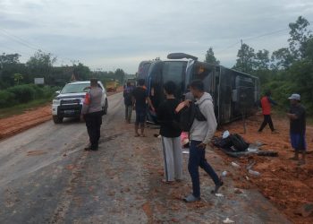 BREAKING NEWS!!! Bus Logos Terguling di Pangkalan Lada, Dua Tewas
