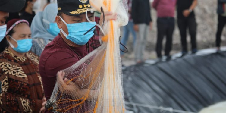 Tambak Udang Vaname Terobosan Pemulihan Ekonomi di Tengah Pandemi Covid-19