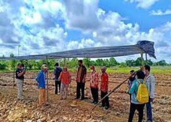 Kementan Bantu Barsel Bibit Padi Unggul