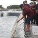 Gubernur Kalteng Berharap Pemerintah Dukung Pendanaan Tambak Udang Vaname di Sukamara