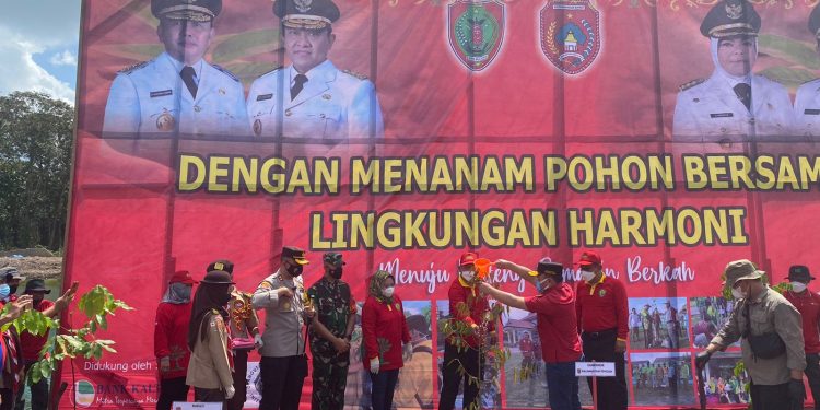 Gubernur Kalteng Tanam Pohon Bersama Pemerintah Kabupaten Kotawaringin Barat