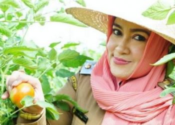 Kota Palangka Raya Potensial Kembangkan Pertanian