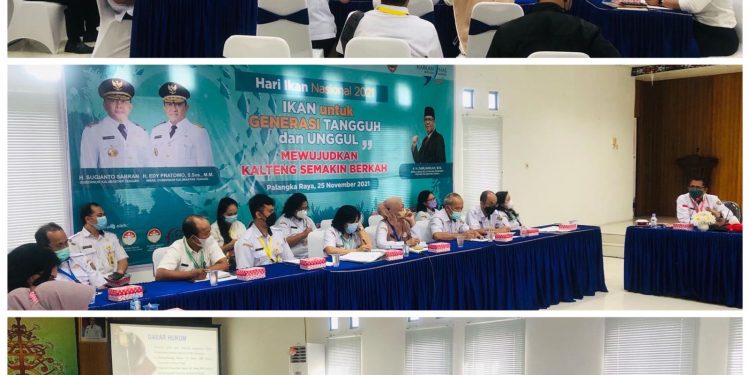 Pemprov.Kalteng Bangun Aplikasi Marketplace Pro Ikan Berkah