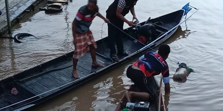 Dua Hari tak Pulang ke Rumah, Bocah 10 Tahun Ditemukan Tewas Mengapung di Sungai Kahayan