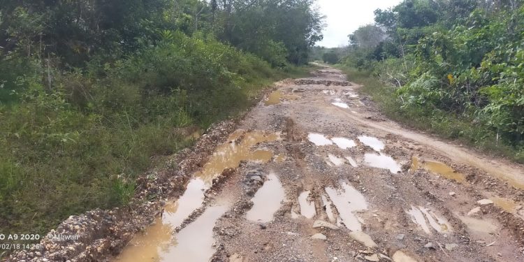 Jalan Trans Bahitom Rusak Parah, Kades Minta Perhatian Pemkab Mura