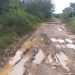 Jalan Trans Bahitom Rusak Parah, Kades Minta Perhatian Pemkab Mura 