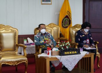 Pj. Sekda Kalteng H. Nuryakin Hadiri Webinar Seri 7 Kebijakan Pemberian TPP Pada Pemda