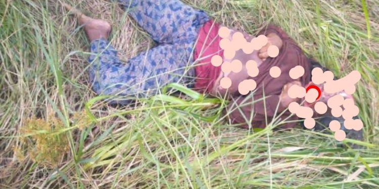 Warga Teluk Tewah-Kotim Meninggal di Kebun, Ditemukan Luka Gigitan Binatang