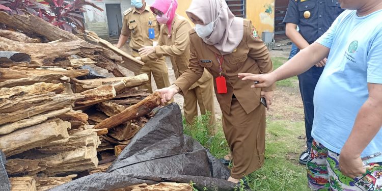 Disdagperin Kalteng Fasilitasi Eksportir Kayu Gaharu Tingkatkan Pemasaran Produk dan Ikuti Event Nasional