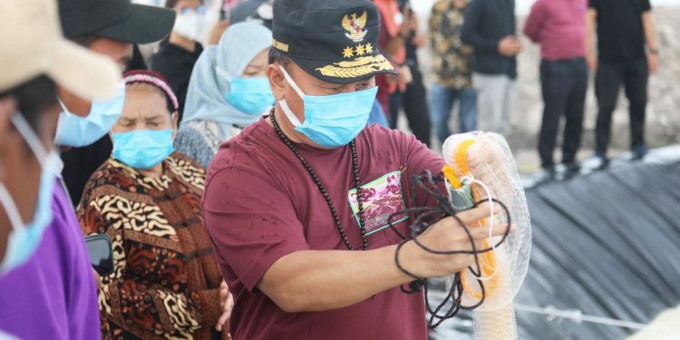 Gubernur Kalteng H. Sugianto Sabran : Pembangunan Kawasan Tambak Udang Vaname Untuk  Pulihkan Perekonomian Ditengah  Pandemi Covid 19